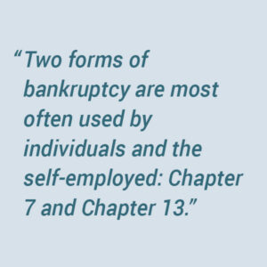 Individuals and the self-employed typically utilize Chapter 7 and Chapter 13 bankruptcy.